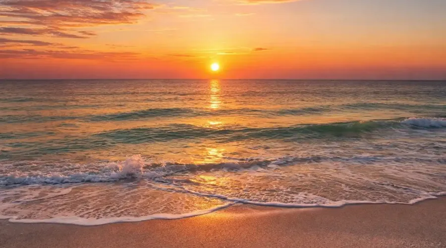 1770 Benjamin Franklin Dr, #206, Sarasota, Florida, 34236, United States, 2 Bedrooms Bedrooms, 5 Rooms Rooms,2 BathroomsBathrooms,Residential,For Sale,Lido Harbour Towers,Benjamin Franklin ,2,2021041