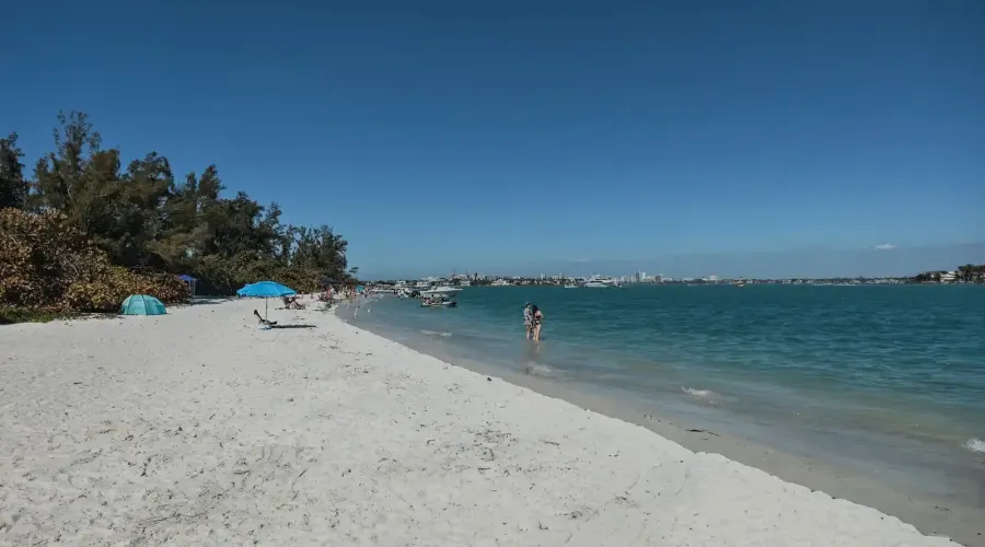 1770 Benjamin Franklin Dr, #206, Sarasota, Florida, 34236, United States, 2 Bedrooms Bedrooms, 5 Rooms Rooms,2 BathroomsBathrooms,Residential,For Sale,Lido Harbour Towers,Benjamin Franklin ,2,2021041