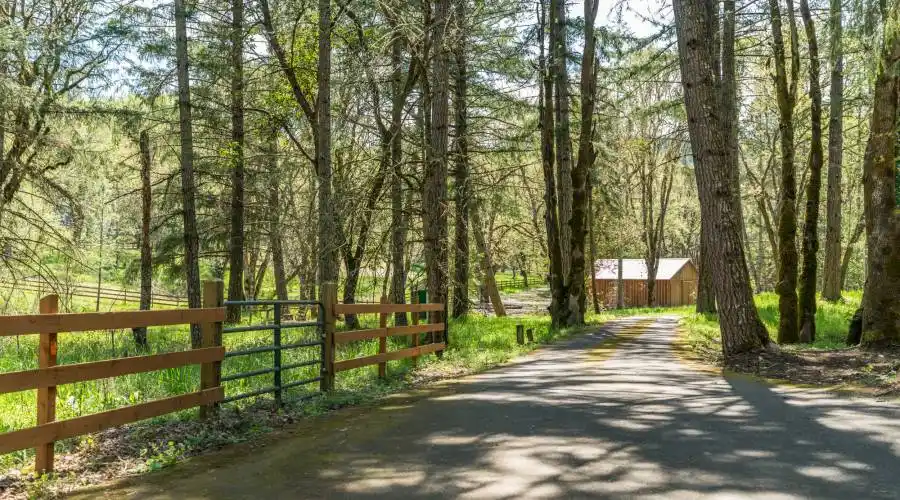 201 Tanglewood Lane,Roseburg,Oregon 97471,United States,5 Bedrooms Bedrooms,10 Rooms Rooms,2 BathroomsBathrooms,Residential,Lane,215413