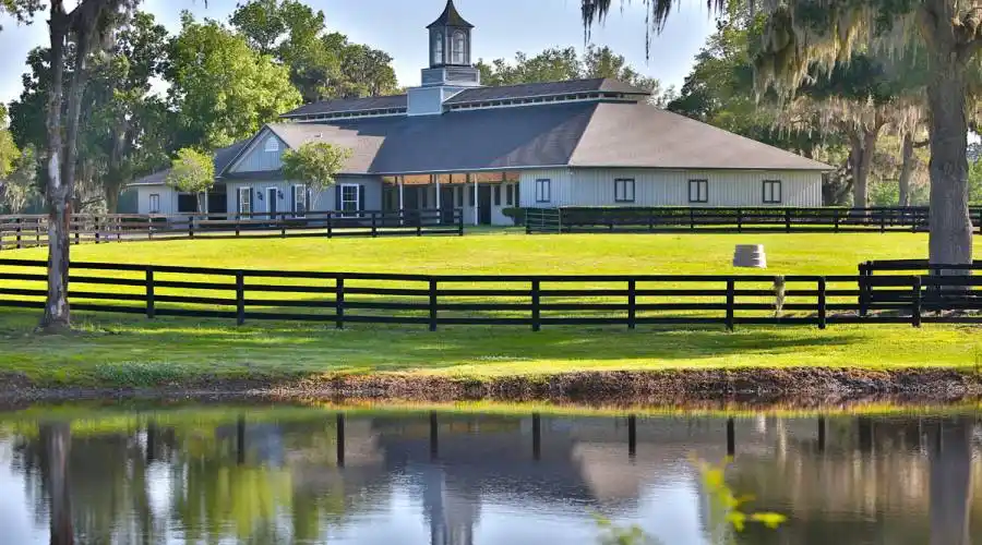 13521 W Hwy 318,WILLISTON,Florida 32696,United States,3 Bedrooms Bedrooms,4 BathroomsBathrooms,Ranch,W Hwy 318,215416