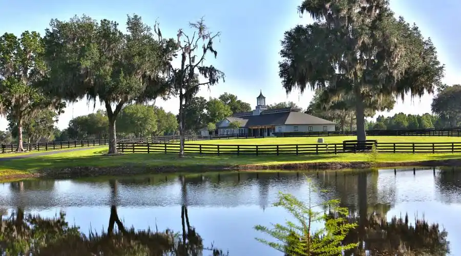 13521 W Hwy 318,WILLISTON,Florida 32696,United States,3 Bedrooms Bedrooms,4 BathroomsBathrooms,Ranch,W Hwy 318,215416