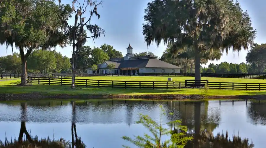 13521 W Hwy 318,WILLISTON,Florida 32696,United States,3 Bedrooms Bedrooms,4 BathroomsBathrooms,Ranch,W Hwy 318,215416