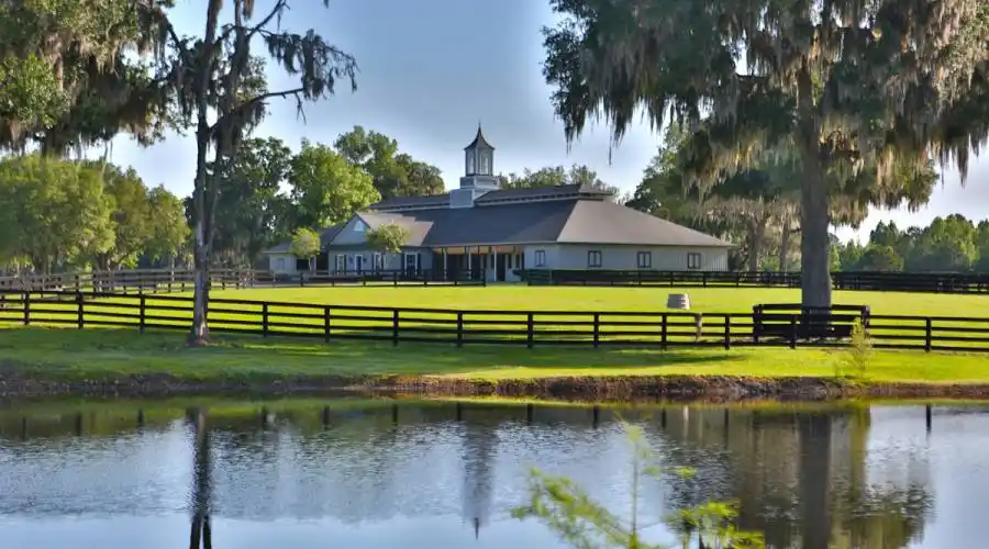 13521 W Hwy 318,WILLISTON,Florida 32696,United States,3 Bedrooms Bedrooms,4 BathroomsBathrooms,Ranch,W Hwy 318,215416