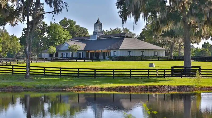 13521 W Hwy 318,WILLISTON,Florida 32696,United States,3 Bedrooms Bedrooms,4 BathroomsBathrooms,Ranch,W Hwy 318,215416