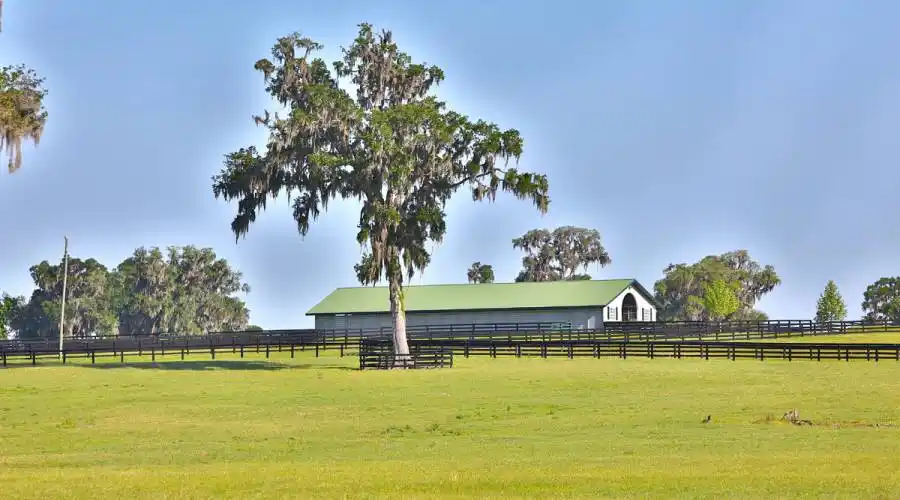 13521 W Hwy 318,WILLISTON,Florida 32696,United States,3 Bedrooms Bedrooms,4 BathroomsBathrooms,Ranch,W Hwy 318,215416