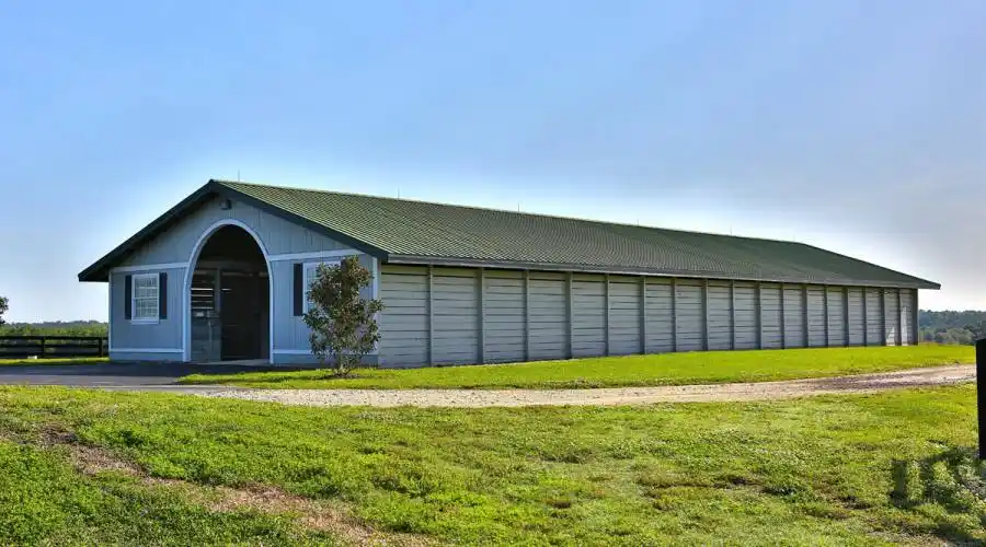 13521 W Hwy 318,WILLISTON,Florida 32696,United States,3 Bedrooms Bedrooms,4 BathroomsBathrooms,Ranch,W Hwy 318,215416