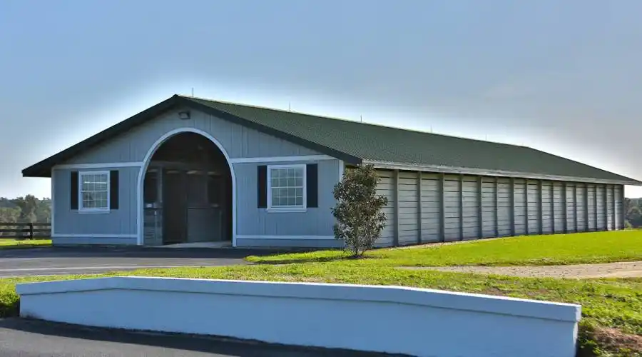 13521 W Hwy 318,WILLISTON,Florida 32696,United States,3 Bedrooms Bedrooms,4 BathroomsBathrooms,Ranch,W Hwy 318,215416