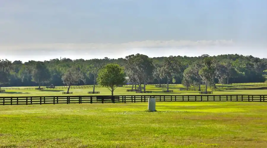 13521 W Hwy 318,WILLISTON,Florida 32696,United States,3 Bedrooms Bedrooms,4 BathroomsBathrooms,Ranch,W Hwy 318,215416