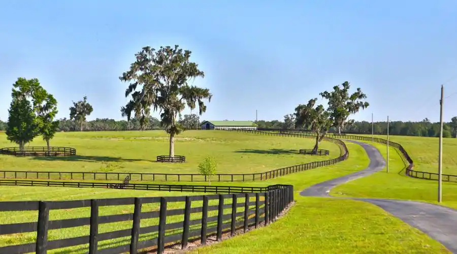 13521 W Hwy 318,WILLISTON,Florida 32696,United States,3 Bedrooms Bedrooms,4 BathroomsBathrooms,Ranch,W Hwy 318,215416