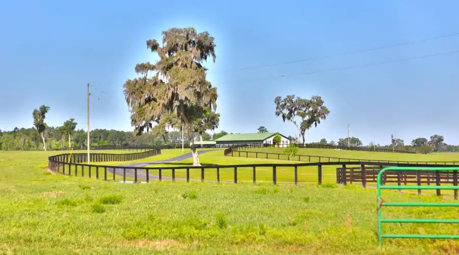 13521 W Hwy 318,WILLISTON,Florida 32696,United States,3 Bedrooms Bedrooms,4 BathroomsBathrooms,Ranch,W Hwy 318,215416