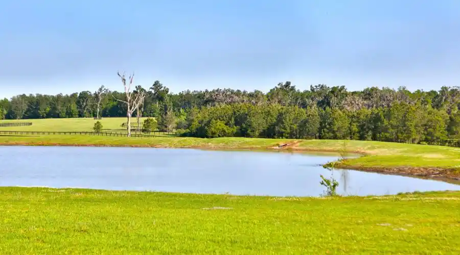 13521 W Hwy 318,WILLISTON,Florida 32696,United States,3 Bedrooms Bedrooms,4 BathroomsBathrooms,Ranch,W Hwy 318,215416