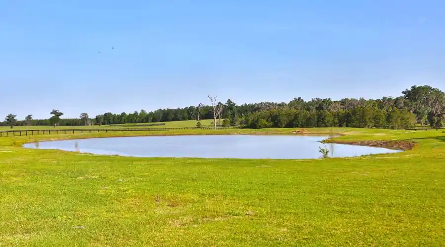 13521 W Hwy 318,WILLISTON,Florida 32696,United States,3 Bedrooms Bedrooms,4 BathroomsBathrooms,Ranch,W Hwy 318,215416