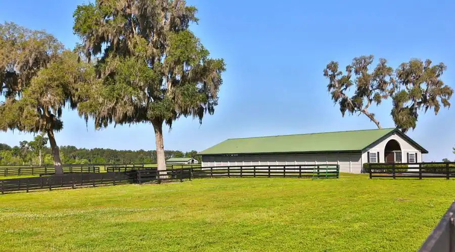 13521 W Hwy 318,WILLISTON,Florida 32696,United States,3 Bedrooms Bedrooms,4 BathroomsBathrooms,Ranch,W Hwy 318,215416