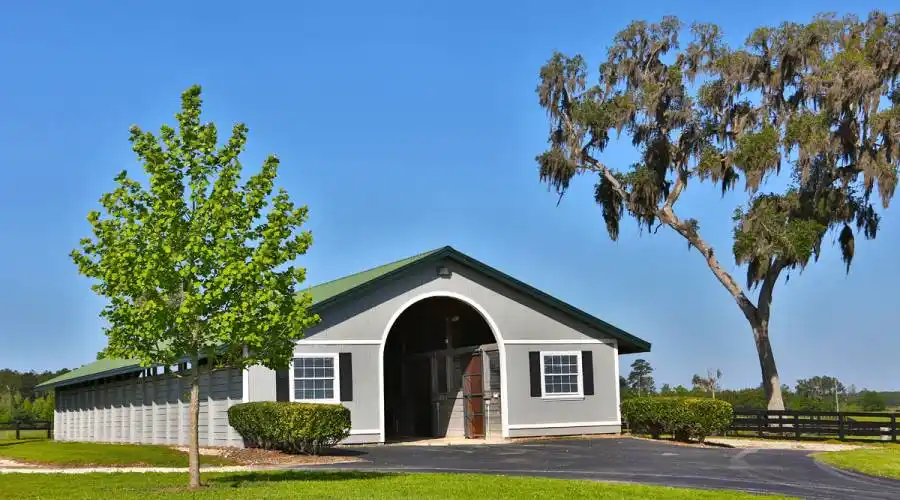 13521 W Hwy 318,WILLISTON,Florida 32696,United States,3 Bedrooms Bedrooms,4 BathroomsBathrooms,Ranch,W Hwy 318,215416