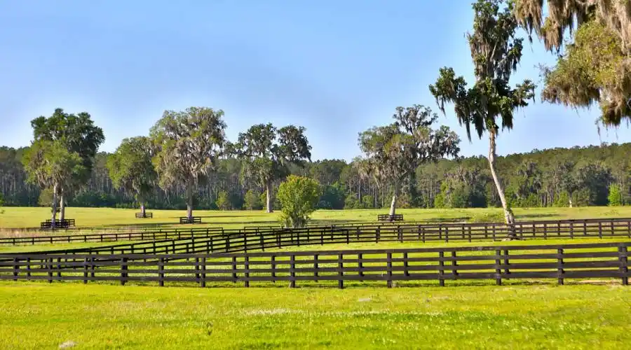 13521 W Hwy 318,WILLISTON,Florida 32696,United States,3 Bedrooms Bedrooms,4 BathroomsBathrooms,Ranch,W Hwy 318,215416