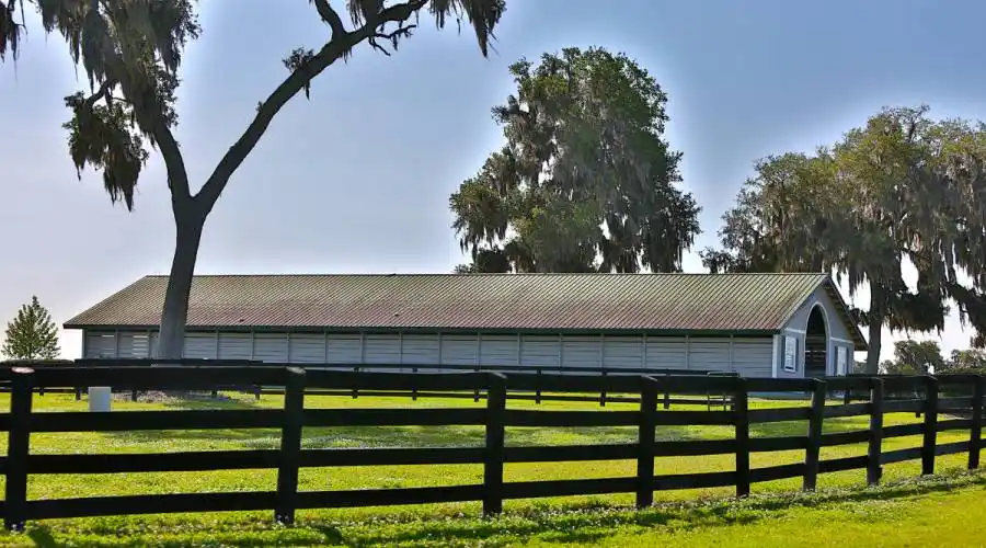 13521 W Hwy 318,WILLISTON,Florida 32696,United States,3 Bedrooms Bedrooms,4 BathroomsBathrooms,Ranch,W Hwy 318,215416