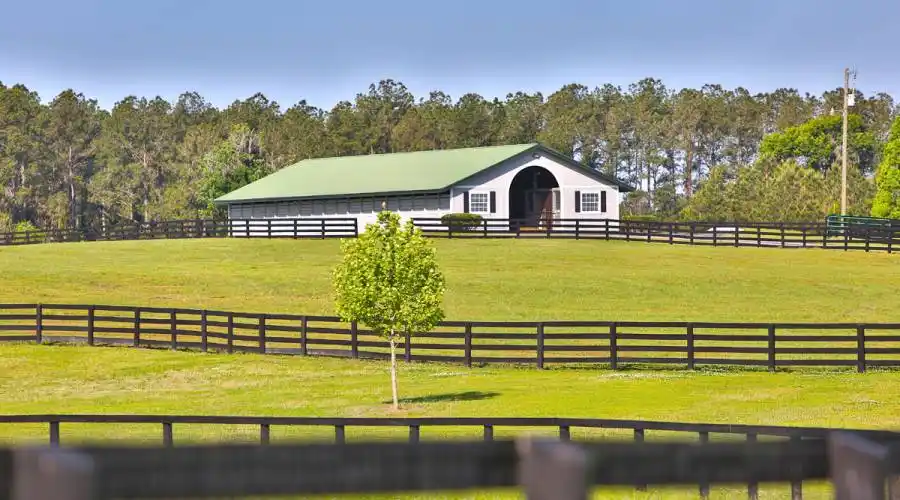 13521 W Hwy 318,WILLISTON,Florida 32696,United States,3 Bedrooms Bedrooms,4 BathroomsBathrooms,Ranch,W Hwy 318,215416