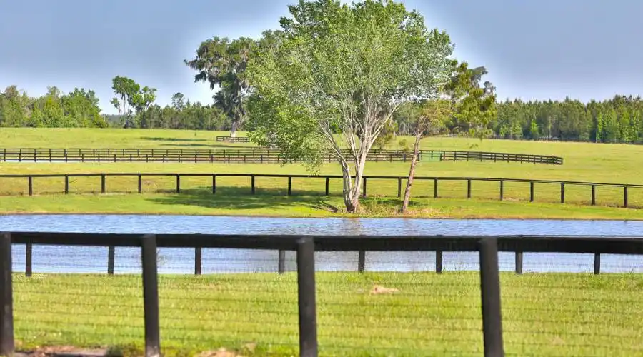 13521 W Hwy 318,WILLISTON,Florida 32696,United States,3 Bedrooms Bedrooms,4 BathroomsBathrooms,Ranch,W Hwy 318,215416