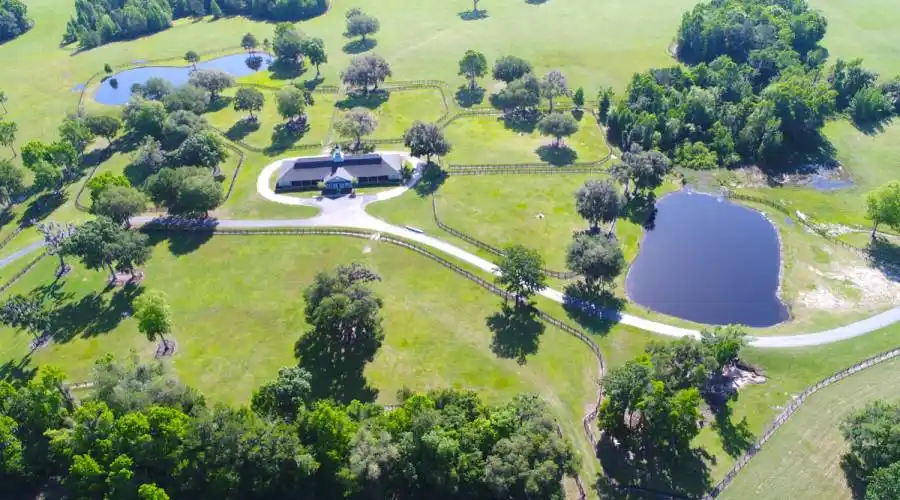 13521 W Hwy 318,WILLISTON,Florida 32696,United States,3 Bedrooms Bedrooms,4 BathroomsBathrooms,Ranch,W Hwy 318,215416