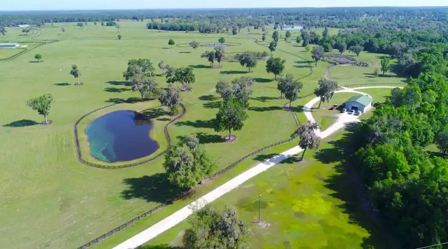13521 W Hwy 318,WILLISTON,Florida 32696,United States,3 Bedrooms Bedrooms,4 BathroomsBathrooms,Ranch,W Hwy 318,215416