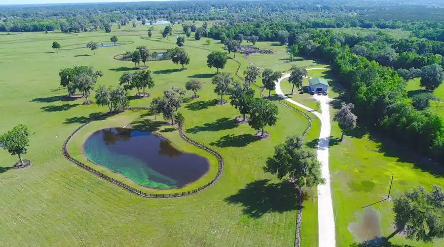 13521 W Hwy 318,WILLISTON,Florida 32696,United States,3 Bedrooms Bedrooms,4 BathroomsBathrooms,Ranch,W Hwy 318,215416