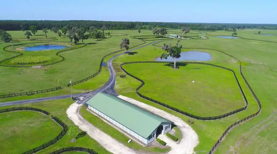 13521 W Hwy 318,WILLISTON,Florida 32696,United States,3 Bedrooms Bedrooms,4 BathroomsBathrooms,Ranch,W Hwy 318,215416