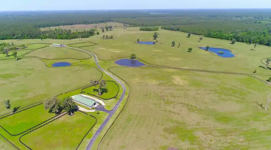 13521 W Hwy 318,WILLISTON,Florida 32696,United States,3 Bedrooms Bedrooms,4 BathroomsBathrooms,Ranch,W Hwy 318,215416