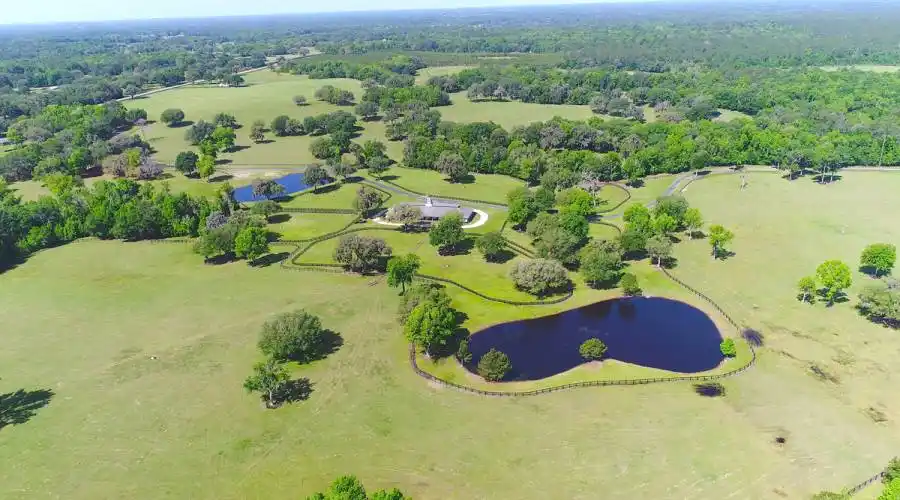13521 W Hwy 318,WILLISTON,Florida 32696,United States,3 Bedrooms Bedrooms,4 BathroomsBathrooms,Ranch,W Hwy 318,215416