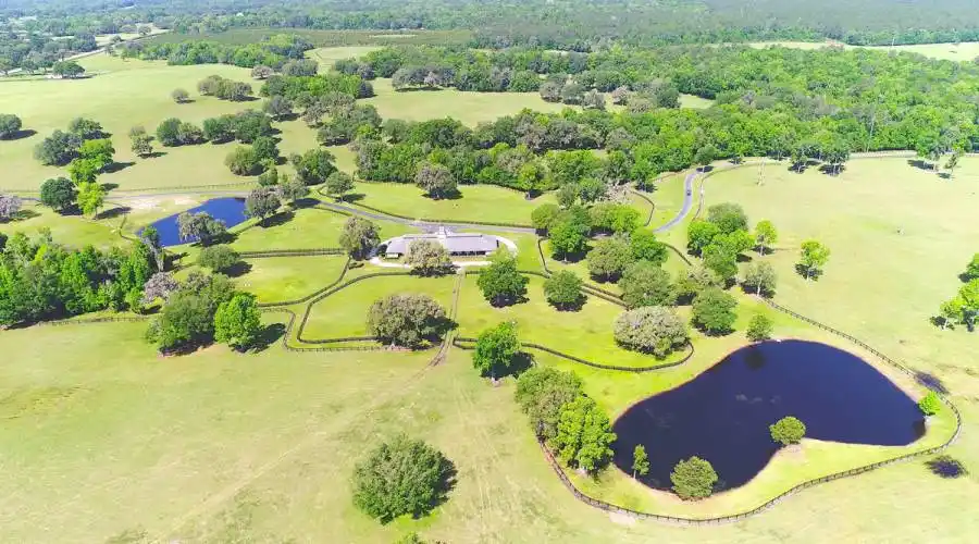 13521 W Hwy 318,WILLISTON,Florida 32696,United States,3 Bedrooms Bedrooms,4 BathroomsBathrooms,Ranch,W Hwy 318,215416