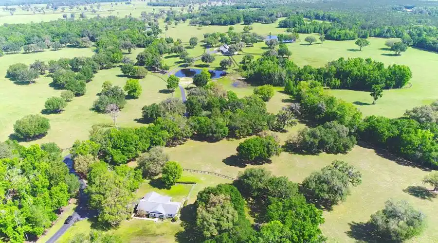 13521 W Hwy 318,WILLISTON,Florida 32696,United States,3 Bedrooms Bedrooms,4 BathroomsBathrooms,Ranch,W Hwy 318,215416