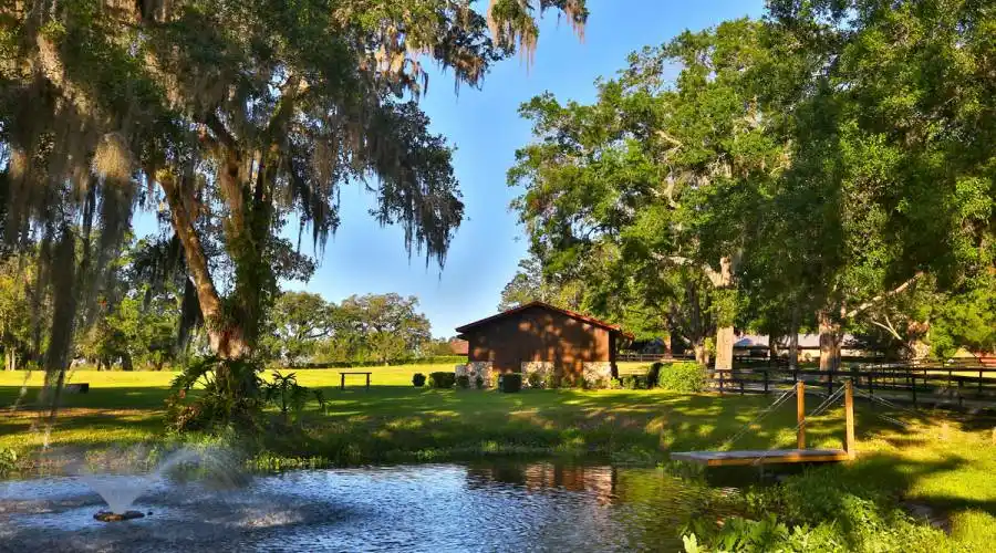 10180 NW 76th Terrace,Ocala,Florida 34482,United States,3 Bedrooms Bedrooms,3 BathroomsBathrooms,Ranch,NW 76th Terrace,215417