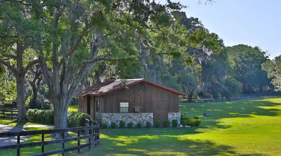 10180 NW 76th Terrace,Ocala,Florida 34482,United States,3 Bedrooms Bedrooms,3 BathroomsBathrooms,Ranch,NW 76th Terrace,215417