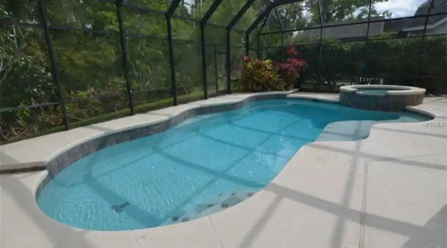 Custom Designed Pool - Salt System Pool with Energy Efficient Eco Star Pump and Omni Logic Programmer