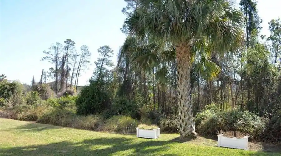 Backyard Conservation