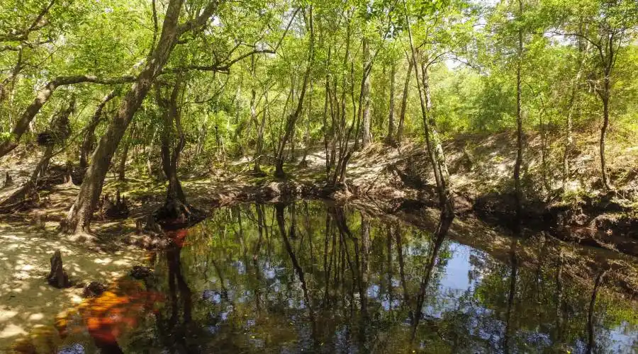 Sandsdale Rd,Macclenney,Florida 32063,United States,Land,Sandsdale Rd,230084