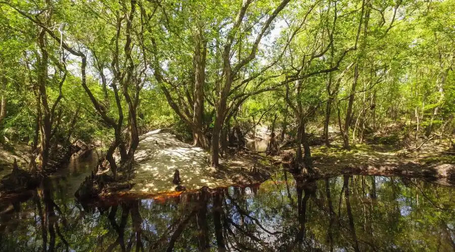 Sandsdale Rd,Macclenney,Florida 32063,United States,Land,Sandsdale Rd,230084
