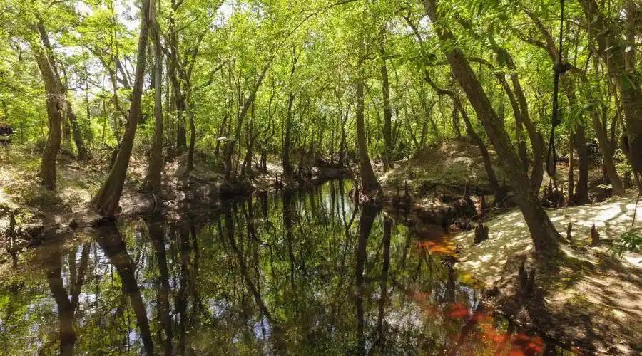 Sandsdale Rd,Macclenney,Florida 32063,United States,Land,Sandsdale Rd,230084