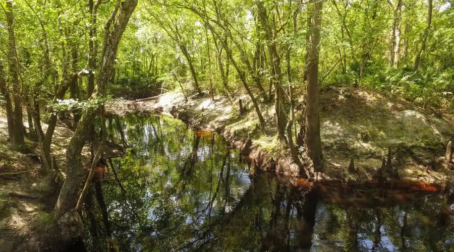 Sandsdale Rd,Macclenney,Florida 32063,United States,Land,Sandsdale Rd,230084