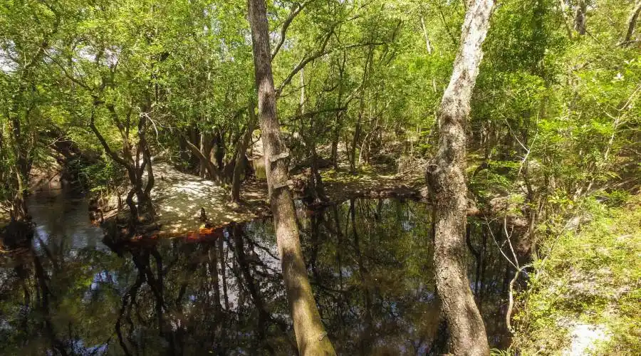 Sandsdale Rd,Macclenney,Florida 32063,United States,Land,Sandsdale Rd,230084
