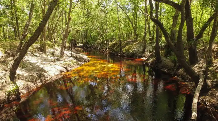 Sandsdale Rd,Macclenney,Florida 32063,United States,Land,Sandsdale Rd,230084