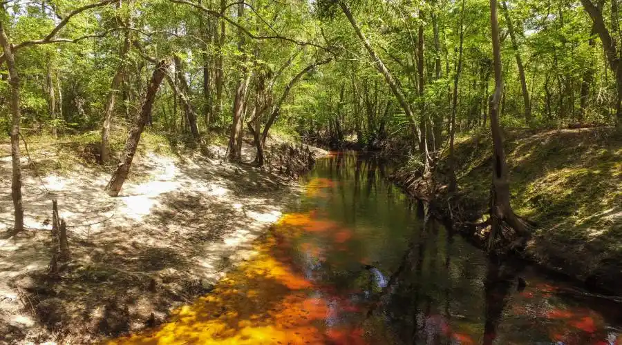 Sandsdale Rd,Macclenney,Florida 32063,United States,Land,Sandsdale Rd,230084