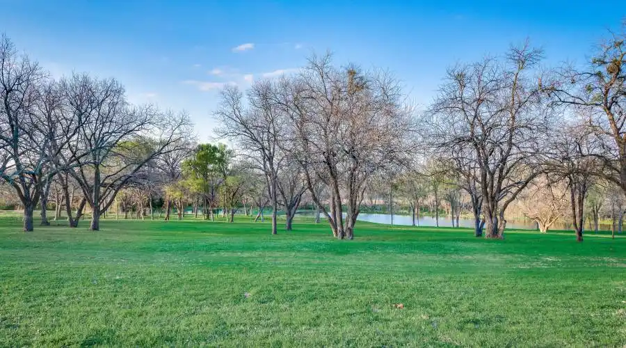Serene Heavily-Treed Acreage