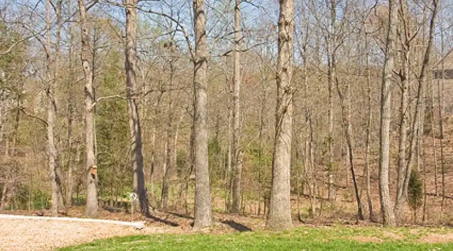 3318 LOCKPORT PLACE,KESWICK,Virginia 22947,United States,4 Bedrooms Bedrooms,16 Rooms Rooms,2 BathroomsBathrooms,Residential,LOCKPORT PLACE,234577