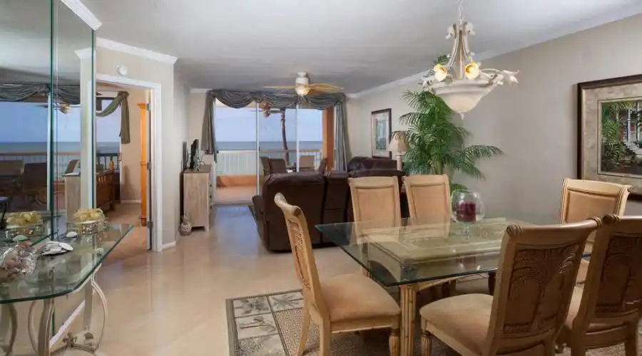 Living / Dining Area