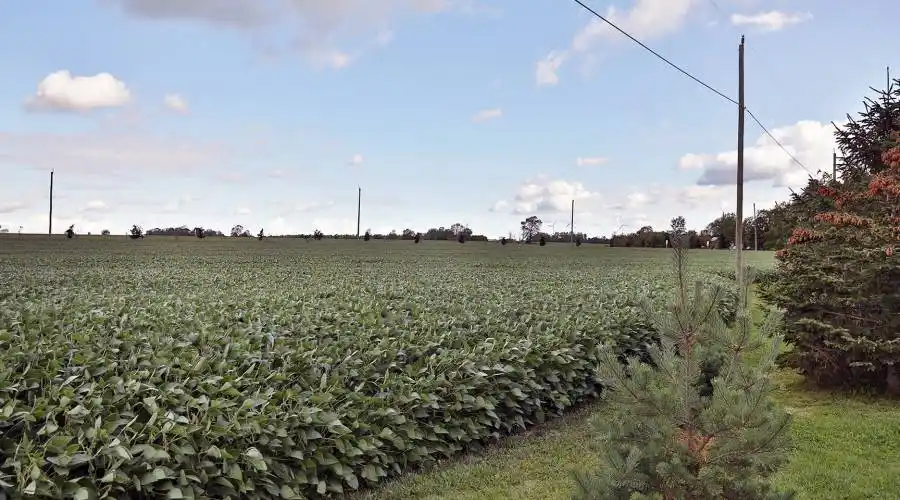 33 Greens Line,DUNNVILLE,Canada,5 Bedrooms Bedrooms,9 Rooms Rooms,5 BathroomsBathrooms,Residential,Greens,235554