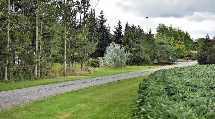 33 Greens Line,DUNNVILLE,Canada,5 Bedrooms Bedrooms,9 Rooms Rooms,5 BathroomsBathrooms,Residential,Greens,235554