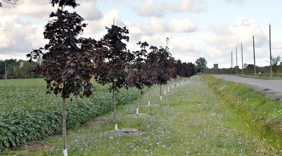 33 Greens Line,DUNNVILLE,Canada,5 Bedrooms Bedrooms,9 Rooms Rooms,5 BathroomsBathrooms,Residential,Greens,235554