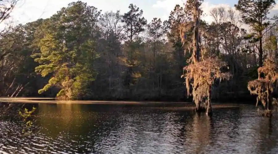 1 Holly Grove Rd,Georgetown,South Carolina 29440,United States,4 Bedrooms Bedrooms,3 BathroomsBathrooms,Residential,Holly Grove Rd,236242