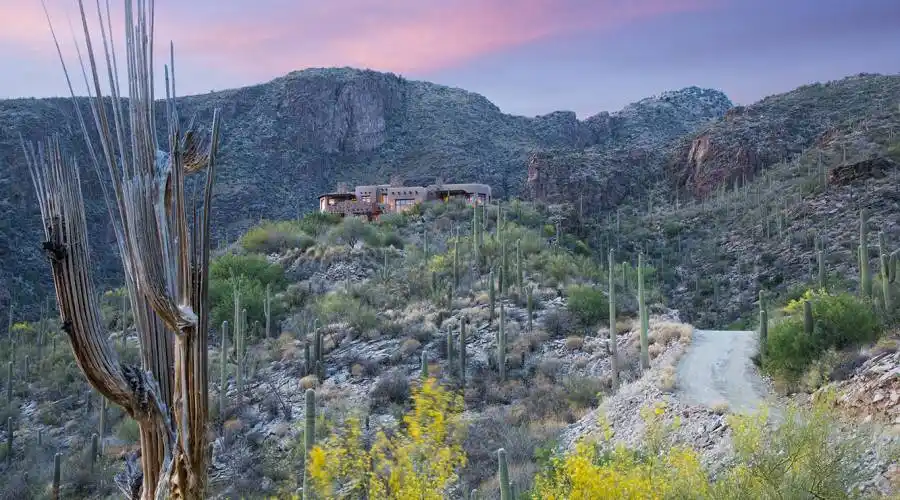 6799 N Rattlesnake Canyon Road,Tucson,Arizona 85750,United States,5 Bedrooms Bedrooms,7 BathroomsBathrooms,Residential,N Rattlesnake Canyon Road,246133