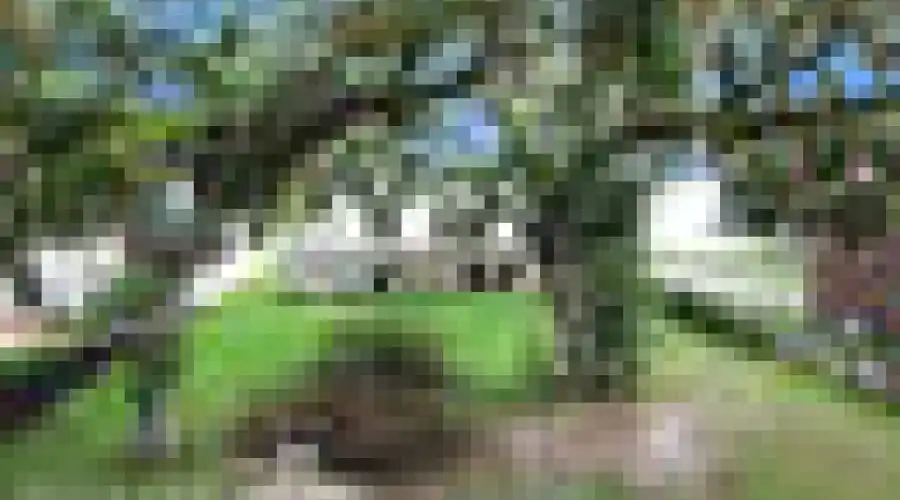 5109,Saint AUGUSTINE,Florida 32092,United States,Residential,261691